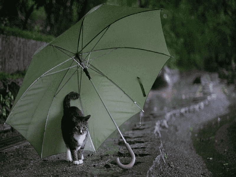 洛宁试管婴儿,化学实验试管回收