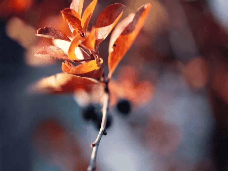 试管免费政策汕头,试管保温方法