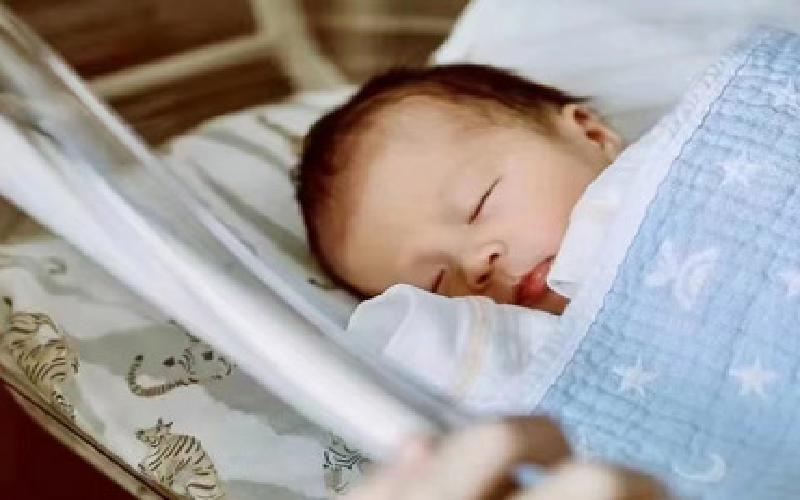 试管蚁巢收获蚁代生